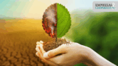 O cooperativismo brasileiro estará presente na COP30 em Belém, levando exemplos reais de ação climática e reafirmando seu compromisso com um futuro sustentável.